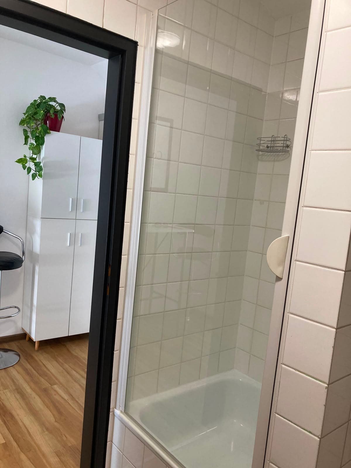 Bathroom detail